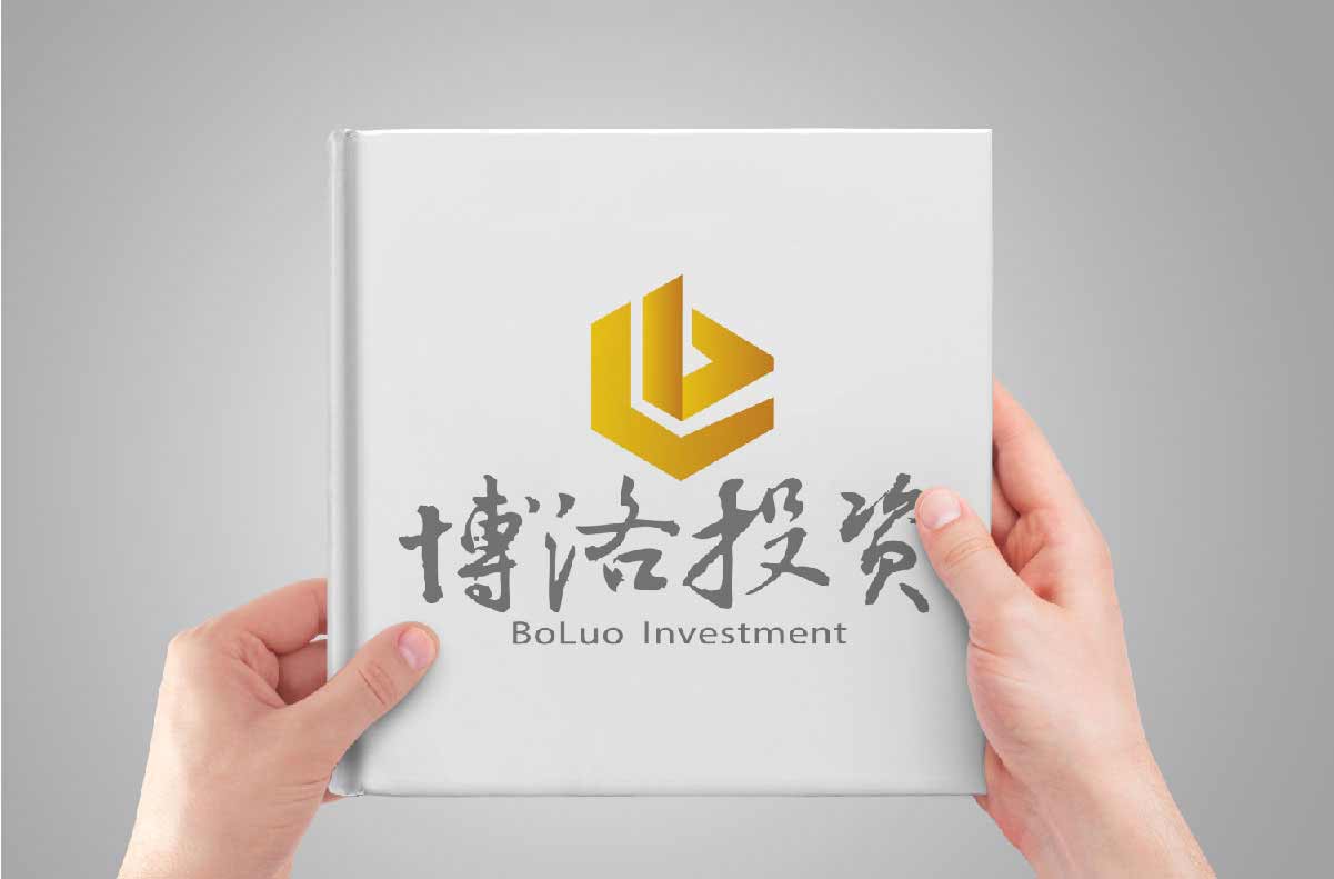 博洛投资logo设计应用1